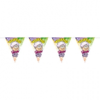 50 jaar Sarah Regenboog Vlaggenlijn - 10 meter Meerkleurig per 6