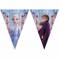 Vlaggenlijn Frozen II per 6