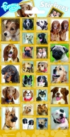 DOGS per 10vel